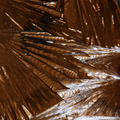 Brown Crystal Finish Glass Paint